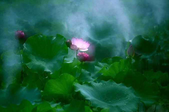 佛堂里七供杯的含义