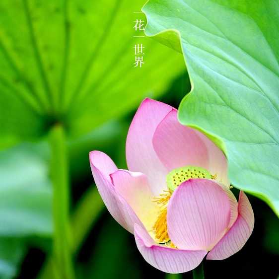 https://m.xinjingqw.com/fteopic/bkww/47781.html