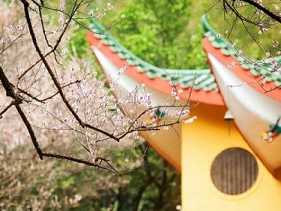 六根