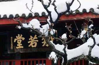 须陀洹果