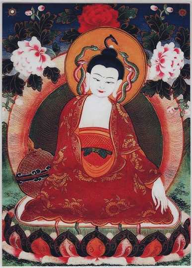 须陀洹果