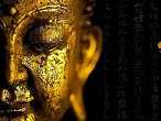https://m.xinjingqw.com/fteopic/bsaandu/48727.html