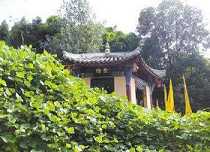 禅林怎么读?佛教禅林是什么?