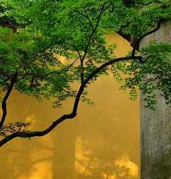 如何理解轮王七宝