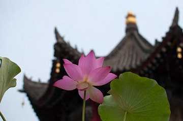 乘龙观音的详细讲解