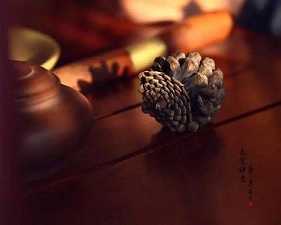 六度之二：持戒波罗蜜介绍