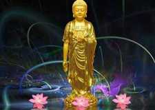 https://m.xinjingqw.com/fteopic/aefslzy/53574.html