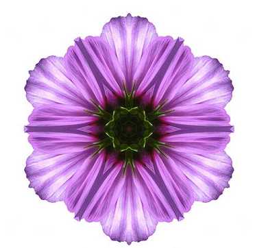 每晚读楞严咒感应