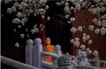 心经讲记——《法性基础》之二十一