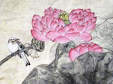 娑婆苦 往西方