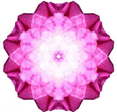 佛门圣物舍利子探秘