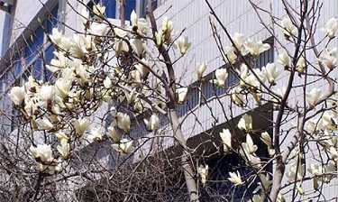 地藏王菩萨本愿经【见闻利益品第十二】（五）