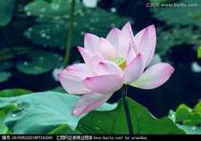 心经讲记——《法性基础》之二
