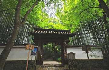 我国最适合礼佛的寺庙，李