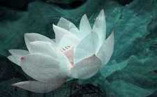 我们人生在世,为谁辛苦为谁忙