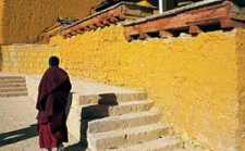 你知道谁是你最大的敌人吗?