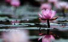 怎么才叫会讲话?