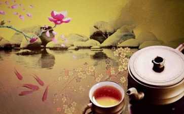 佛法的智慧，如何用在生活中？