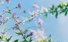 禅者的感恩