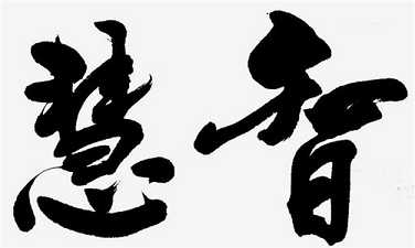 智慧的显现