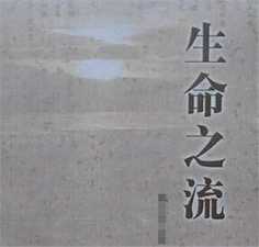 生命之流