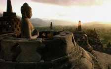 刊登人工流产的广告要背多大的