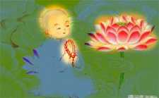 善导净土思想之特色