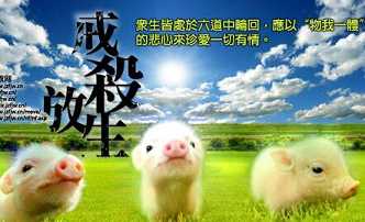 【杀生】杀生是什么意思？杀生的果报是什么？