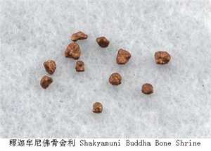 释迦牟尼有多少颗舍利子分布在哪里
