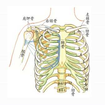 拜佛与医学 第十六讲