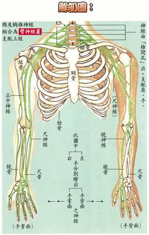 拜佛与医学 第八讲