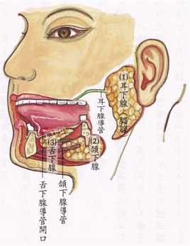 拜佛与医学 第二讲