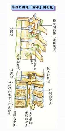 拜佛与医学 第六讲