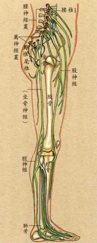 拜佛与医学 第四讲