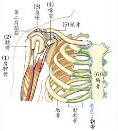 拜佛与医学 第八讲