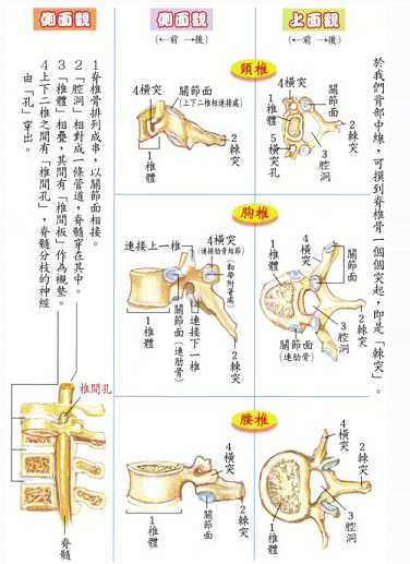 拜佛与医学 第六讲