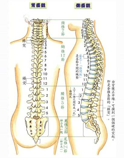 拜佛与医学 第六讲