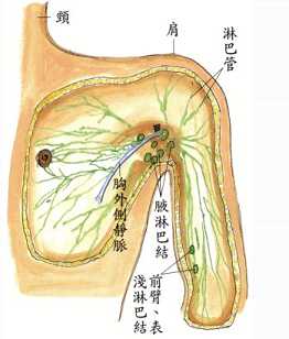 拜佛与医学 第十五讲