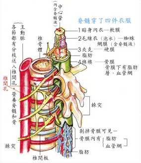 拜佛与医学 第六讲