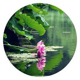 法华经卷六 如来神力品 第二十一(注音)