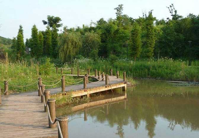 莲师心咒视频一千遍