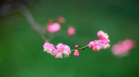 六字大明咒加持水治病