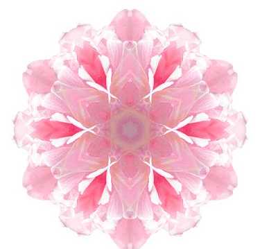 消灾吉祥神咒要回向吗